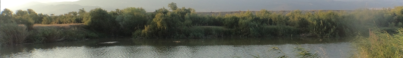 spercheios-kripis-top4